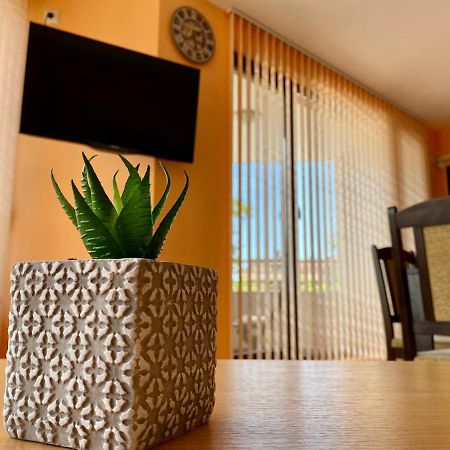Cozy Apartment In The Center Of Primorsko Zewnętrze zdjęcie