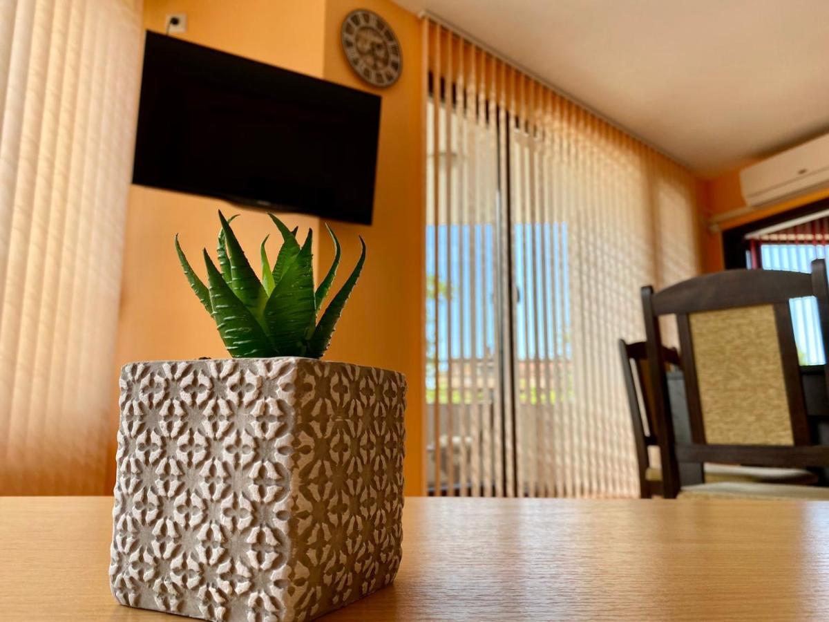 Cozy Apartment In The Center Of Primorsko Zewnętrze zdjęcie